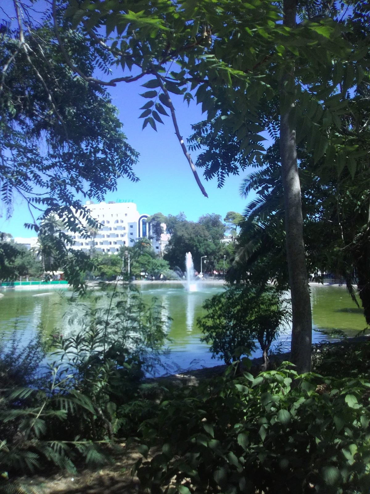 IMG_20160812_143506