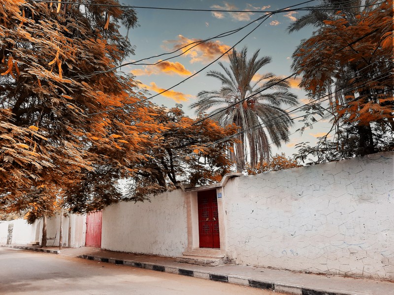 ٢٠٢١١٠٣٠_١٢٣١١٥