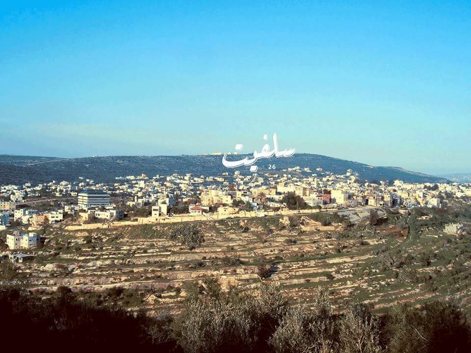 سلفيت