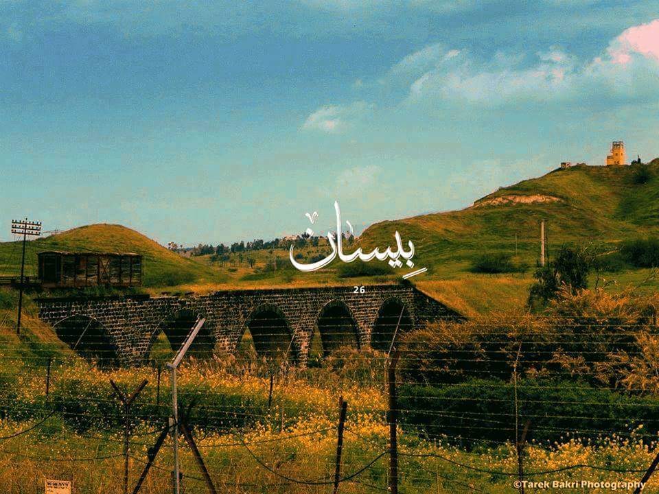 بيسان