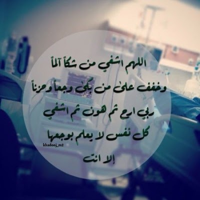 484784_dreambox-sat.com