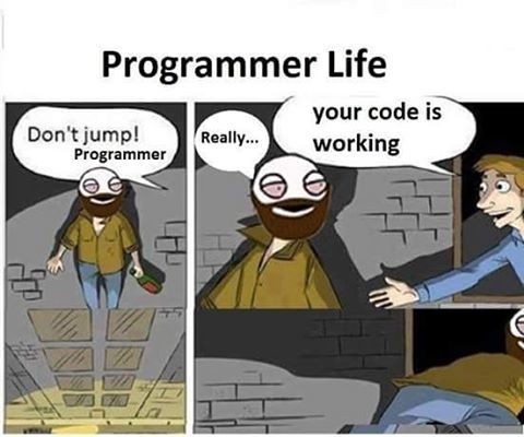 13658826_500344890156079_355611992_n