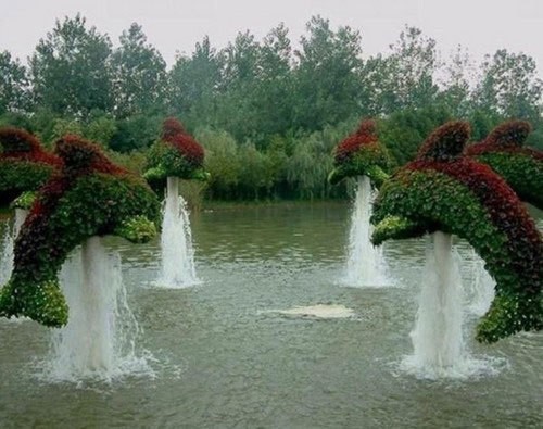 دلافين طائرة