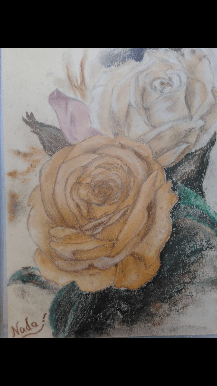 سوفت باستيل