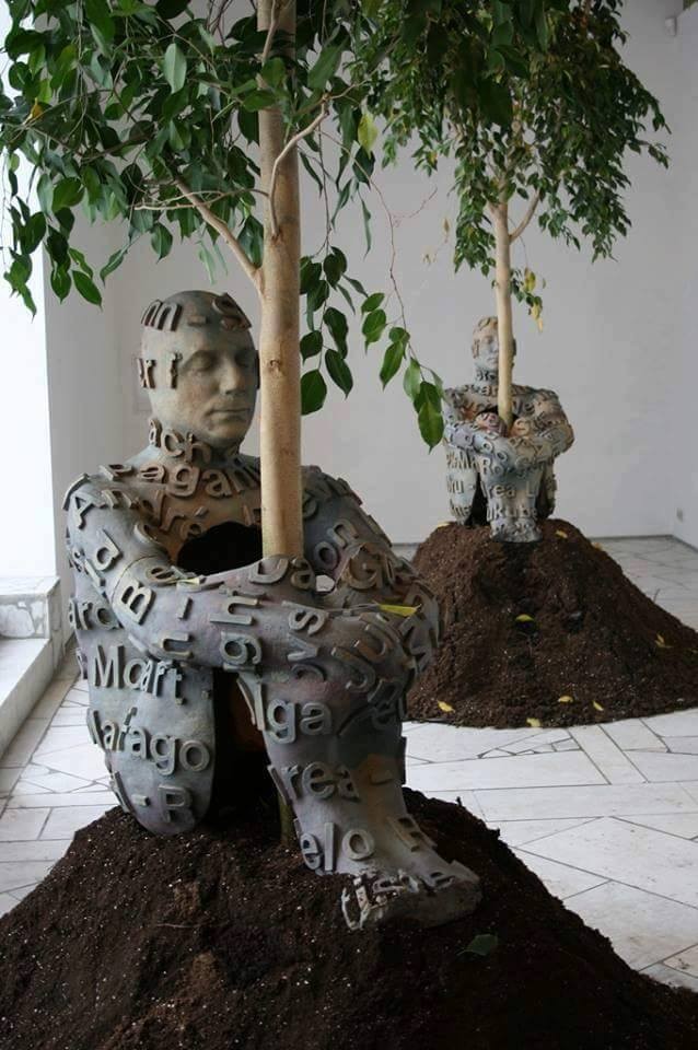 12974291_1219790984698177_5670755380598997573_n