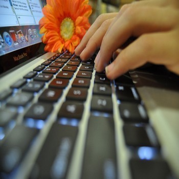 12eeb391943a8a338e59d729105c85a5