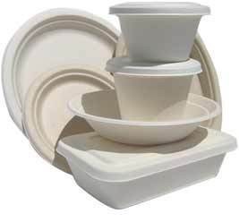 _1Sugarcane_bagasse_group