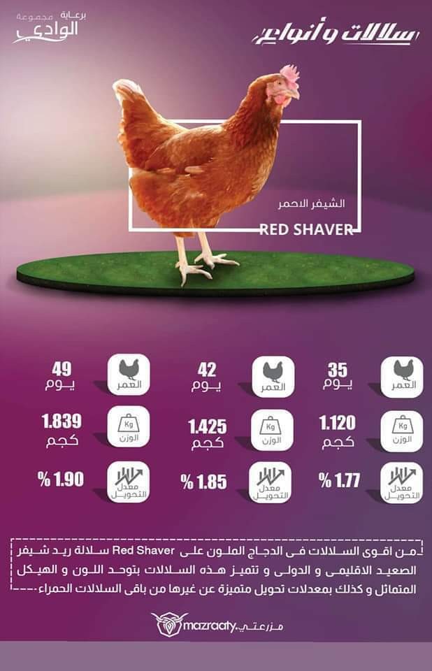 FB_IMG_1550830367575