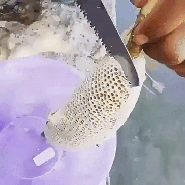 20160603-25939-og68pj