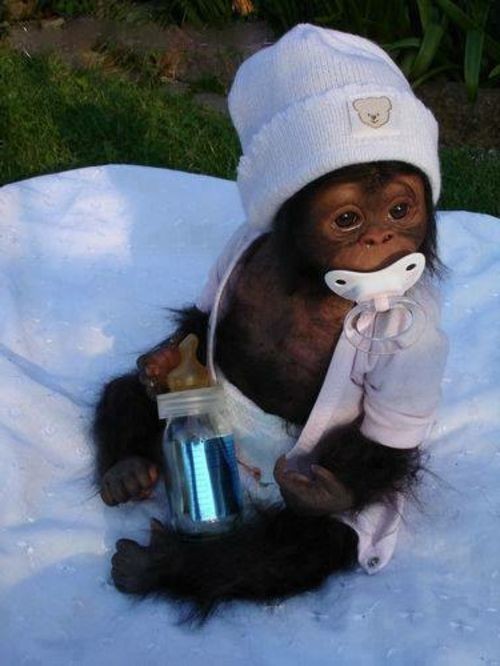 8f1e7f6b6ee4207f47e3cfb782a65de4