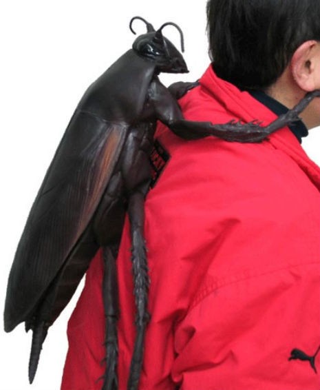 20170407-17697-pf299d