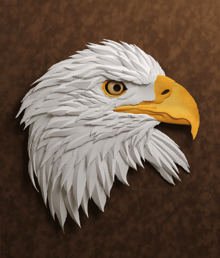 American_Bald_Eagle