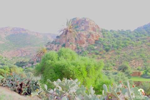 FB_IMG_1482436861226