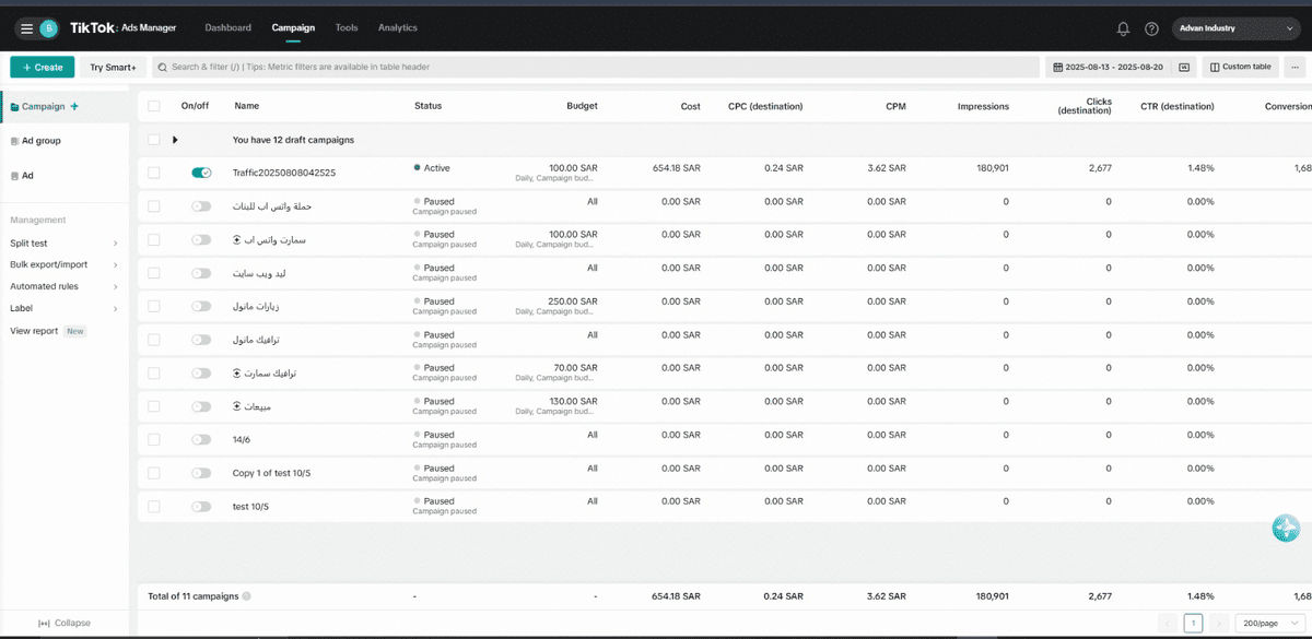 نتائج الحملات على تيك توك 