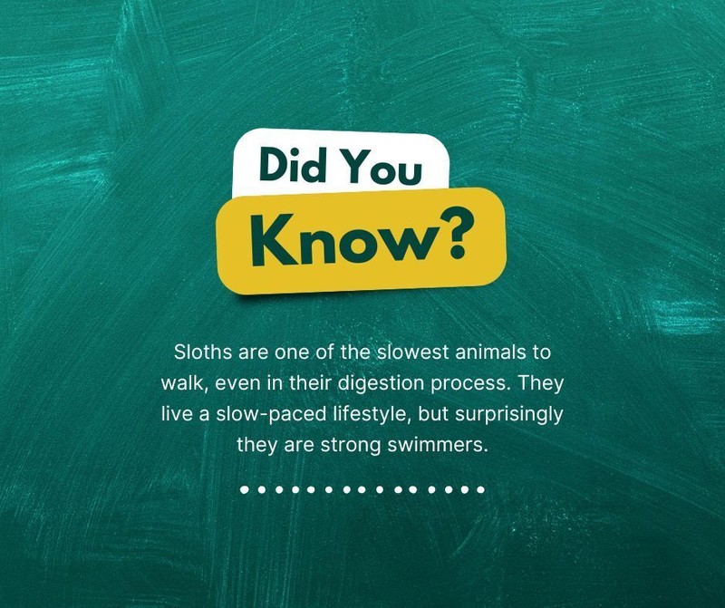 صورة العنصر