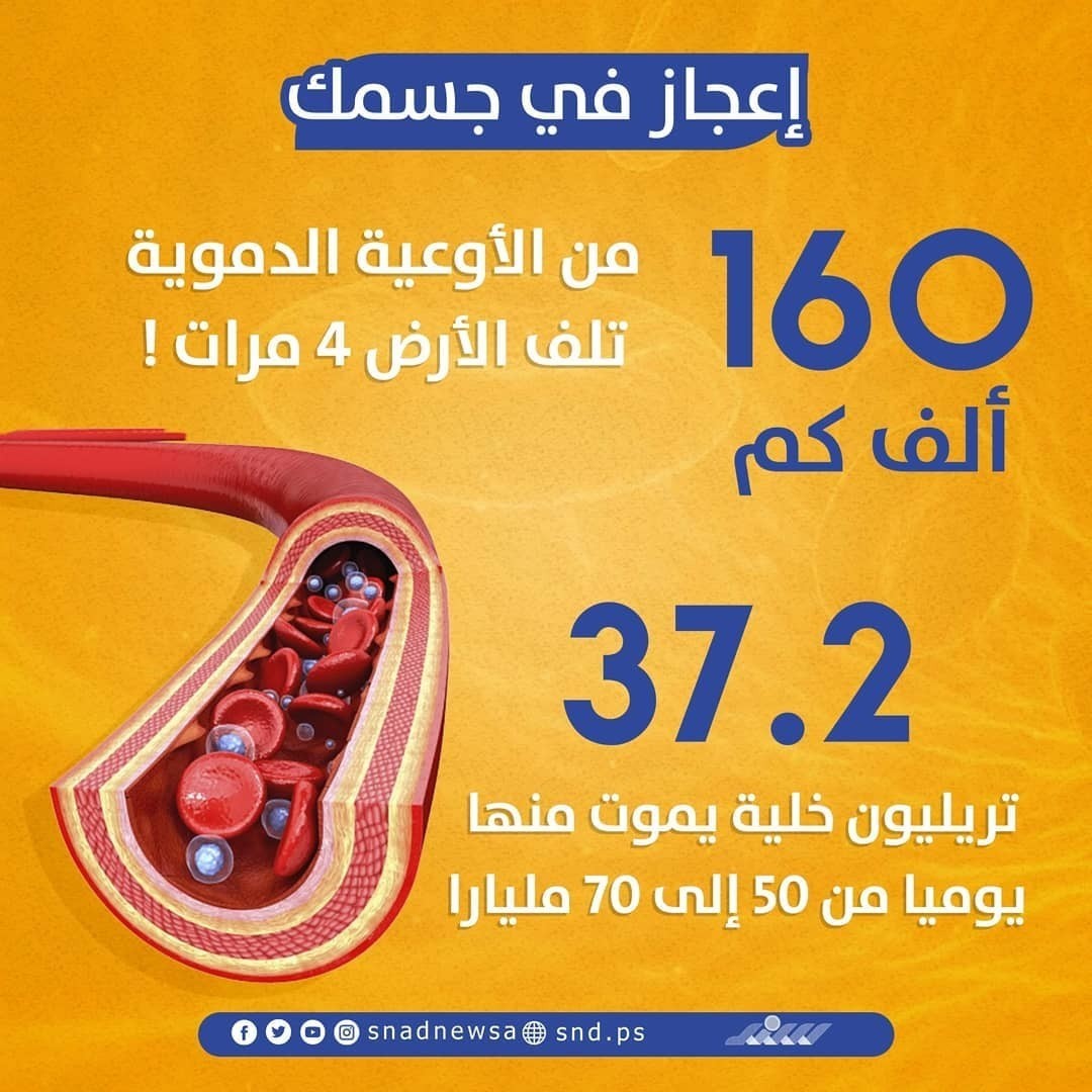 84590777_177340783496771_5136136491070700345_n