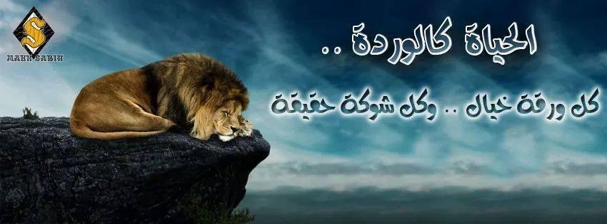 10647142_572371122864087_3639163430377893339_n