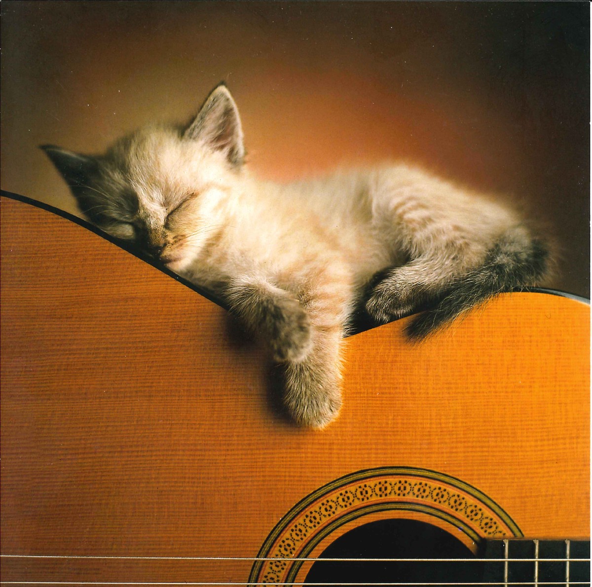 16545287551_023fc394e4_o