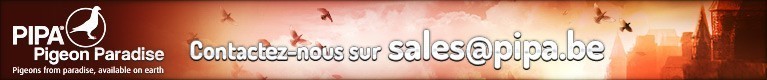 C__Data_Users_DefApps_AppData_INTERNETEXPLORER_Temp_Saved_Images_Banner-Season-ends2-Screen-3-fr-v1