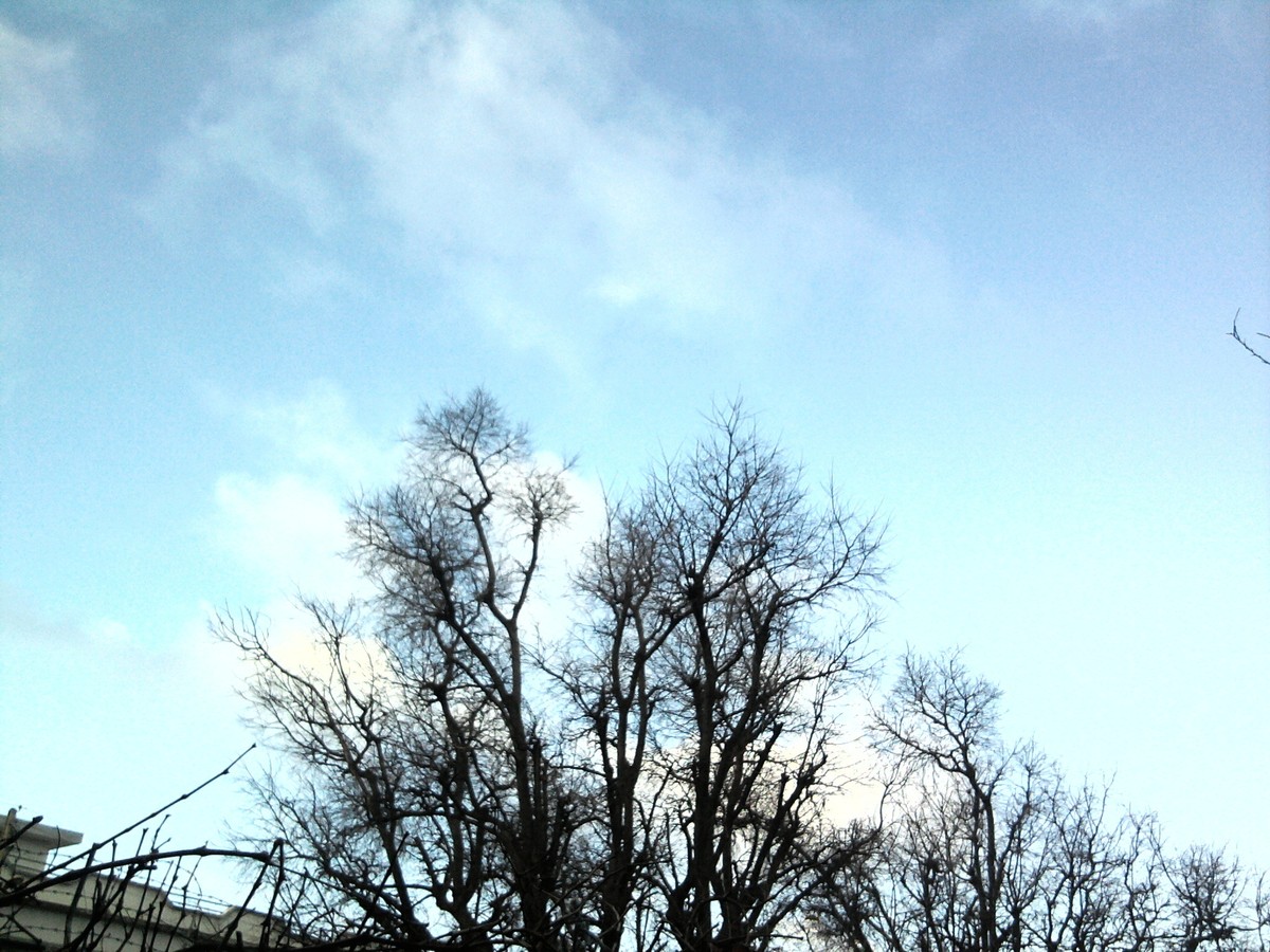 Photo0222_001