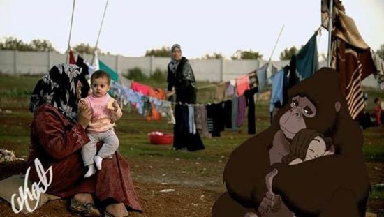 الغوريلا تربي في مخيمات اللاجئين