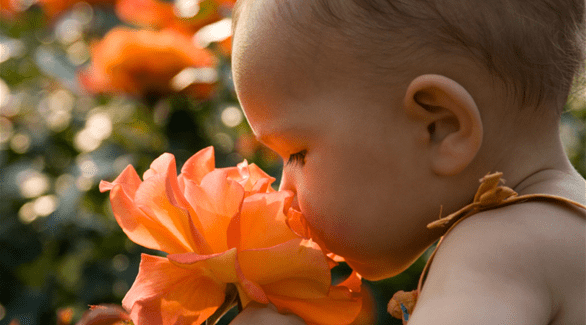 خلايا أنفك يمكنها تخزين 50 ألف رائحة طيلة حياتك !