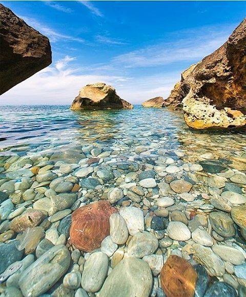 13524498_671777536306826_1752881262850223613_n