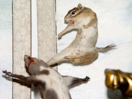 almstba.co_1371574968_844