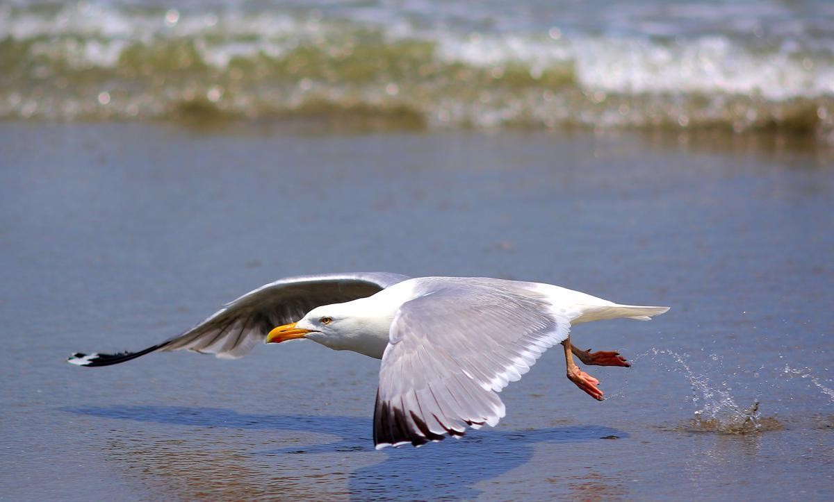 turner053116METROfeature56