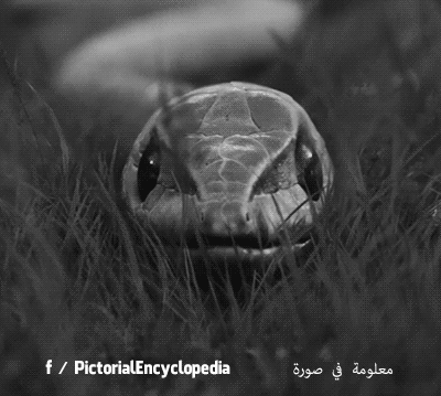 20160601-25939-7thee5