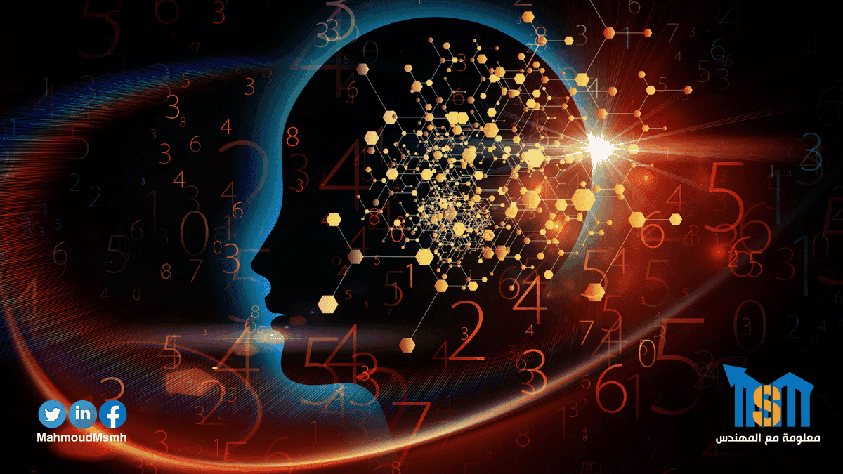 نسخة_من_سيو_سلة__16_