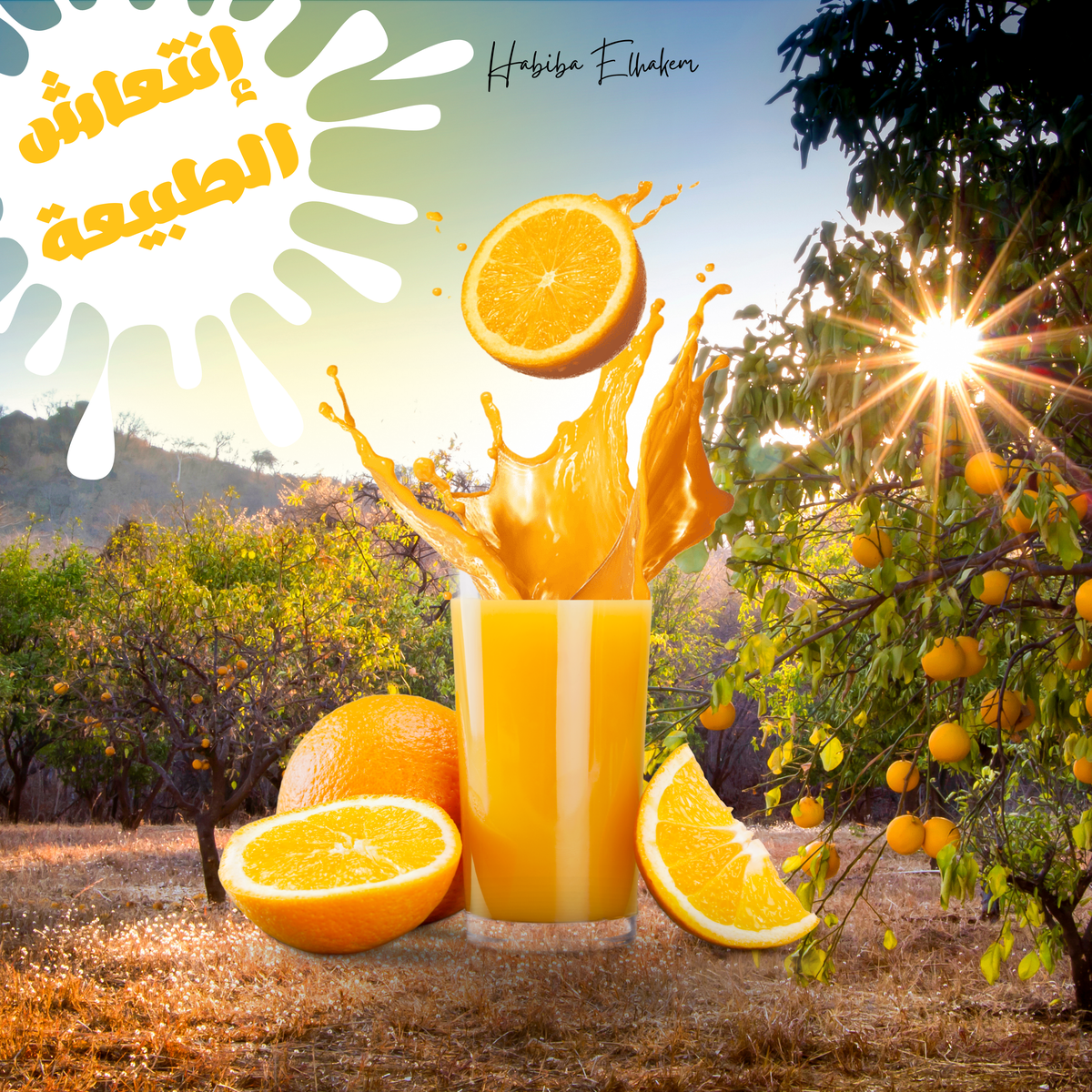 إنعاش_الطبيعة_20240903_084713_٠٠٠٠