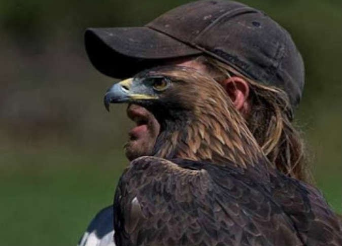 عيون الصقور