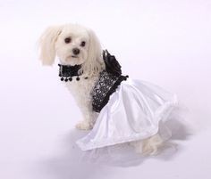 العروس تنتظر عريسها