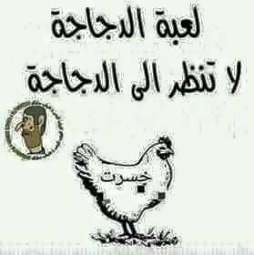 16865050_1867479230142033_3629021550426683032_n