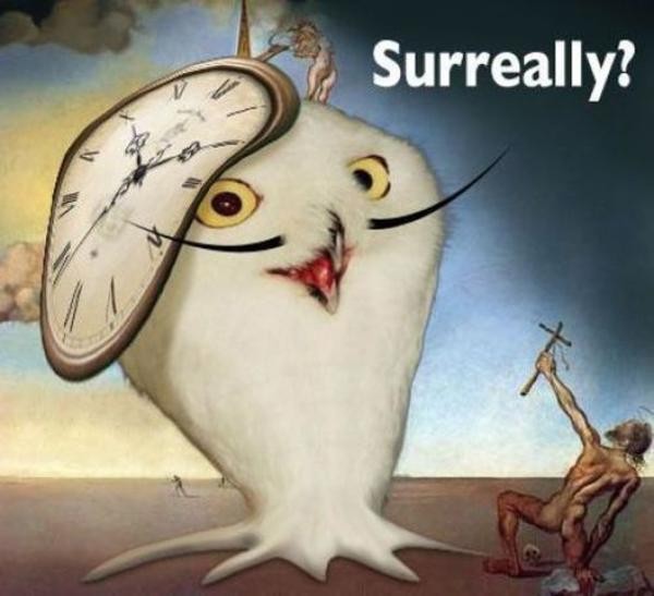 20170324-26598-1lsu0op