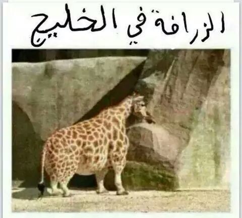 FB_IMG_1418429774162