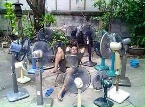 20160508-13586-1pcadxl