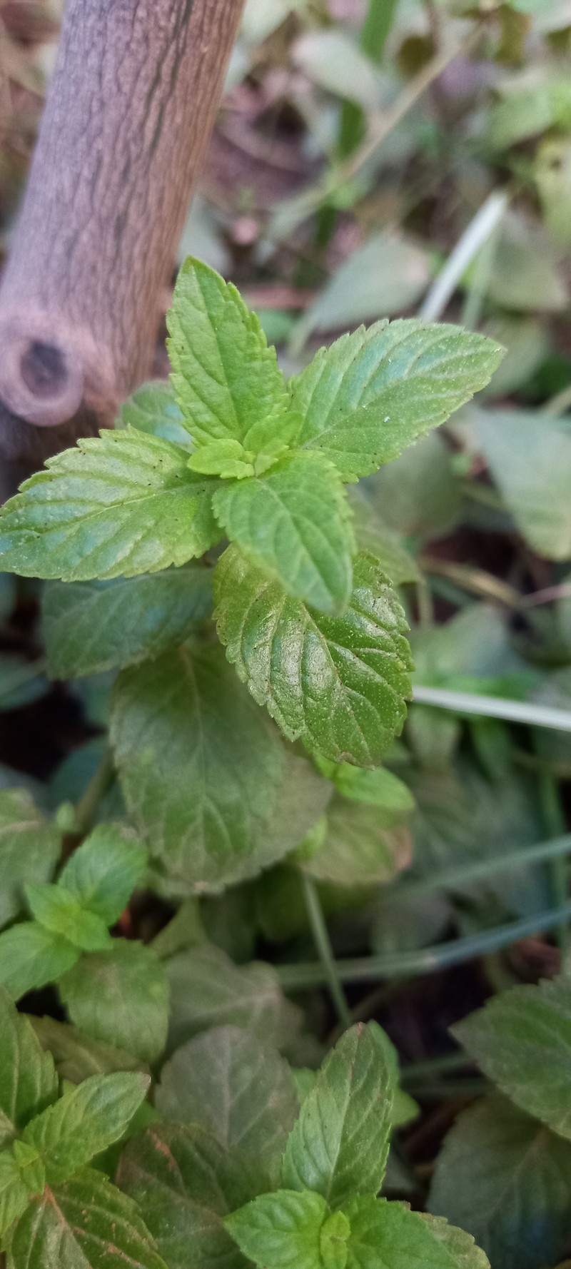 ٢٠٢١٠٩٠٨_١٥٣٦١٣