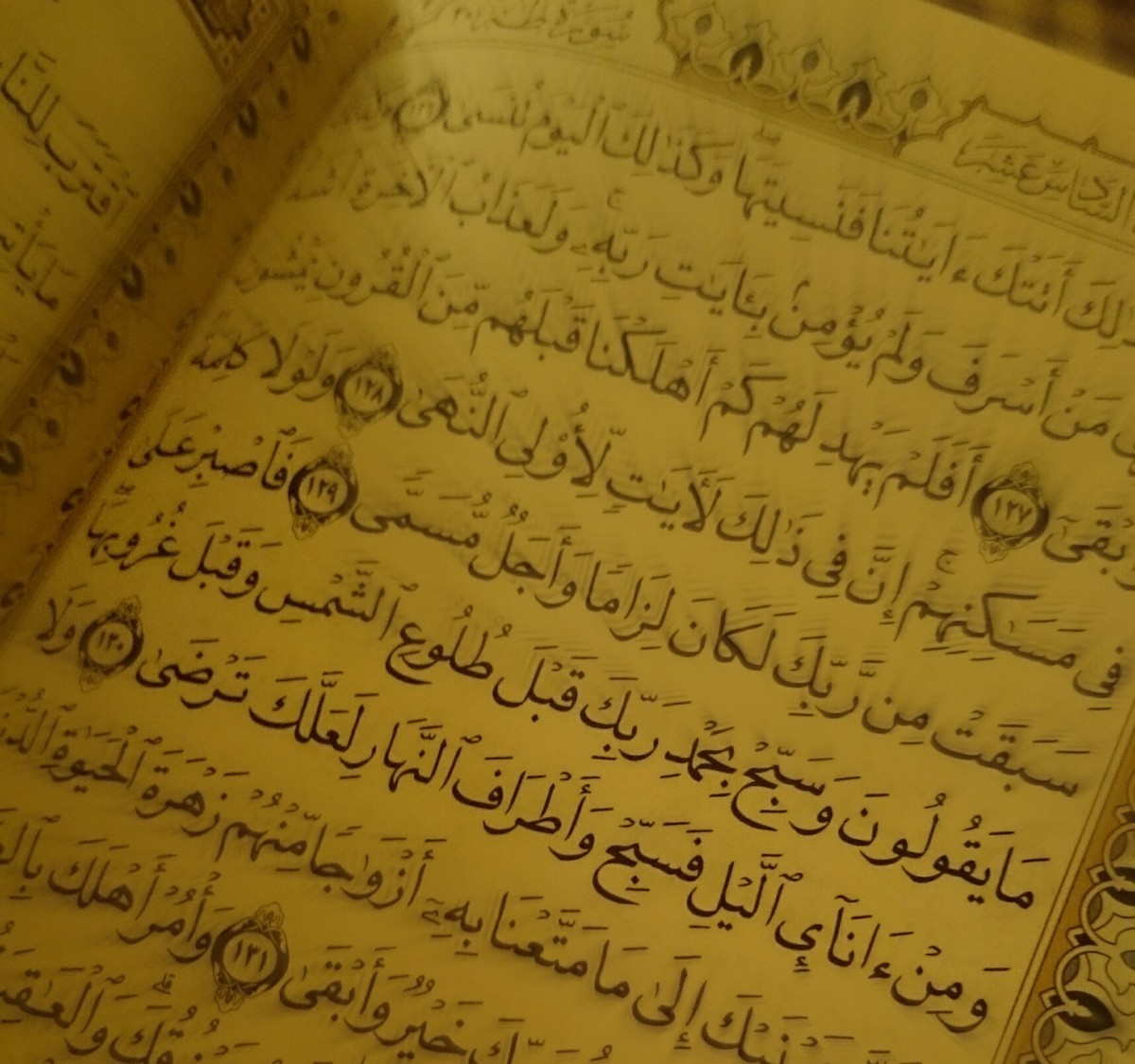 PicsArt_09-26-12.45.57