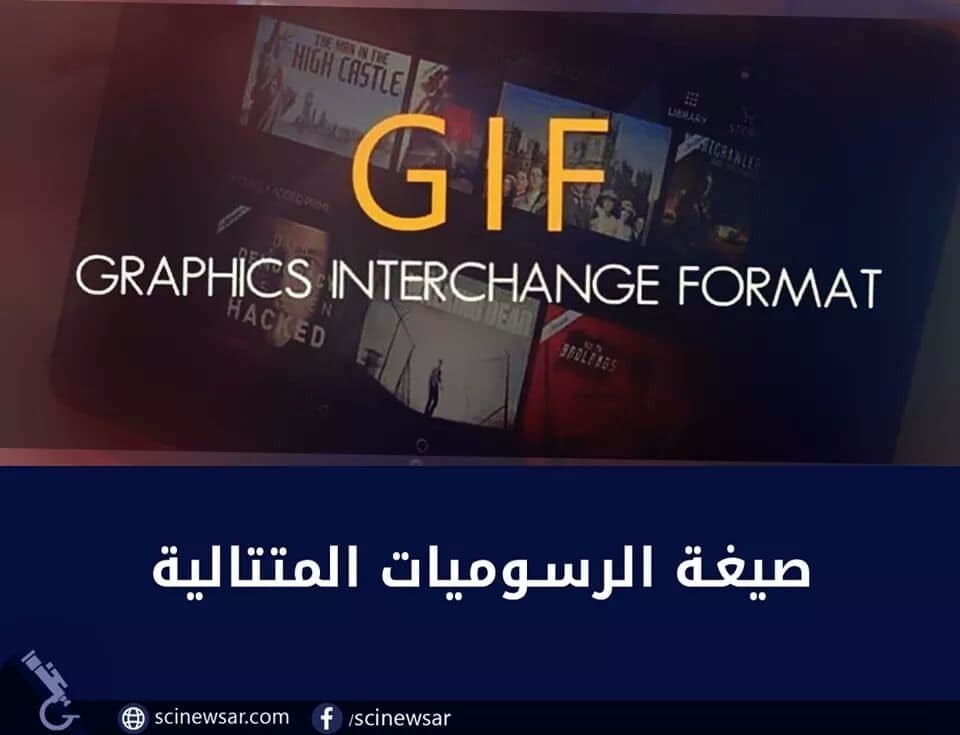 38936078_2168517506721651_386596212540702720_n