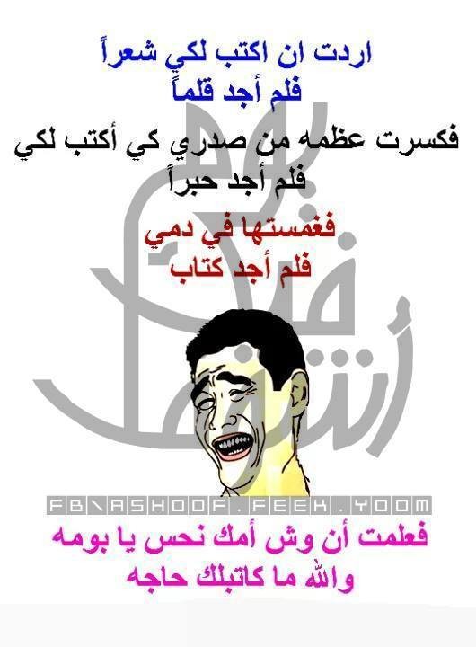 1377554_532796636805343_283811579_n