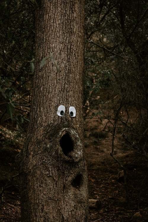 Hcbdgdr