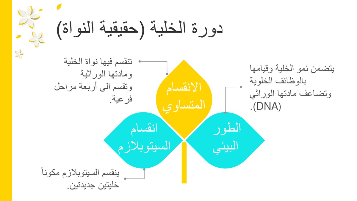 2c35ee775c1be0f5abbaa40beb9a6ef6-2