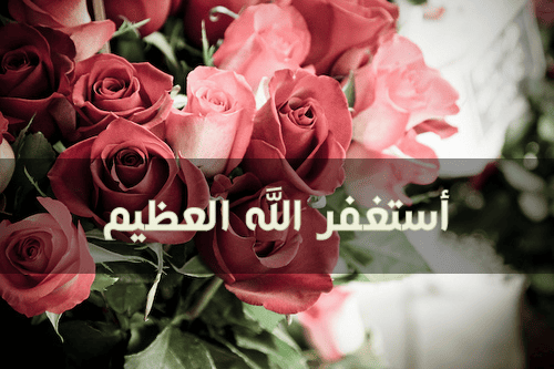 large__24__copy