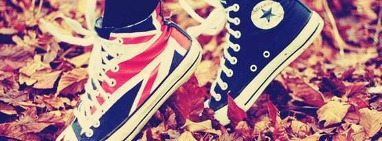 554605_1423544164540597_23470530_n