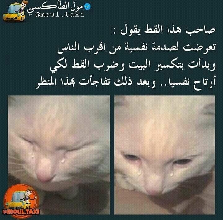 FB_IMG_15056435547915075