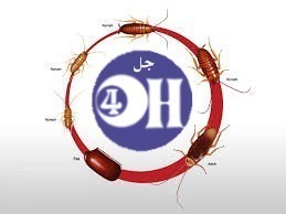 لوجو جل فور اتش