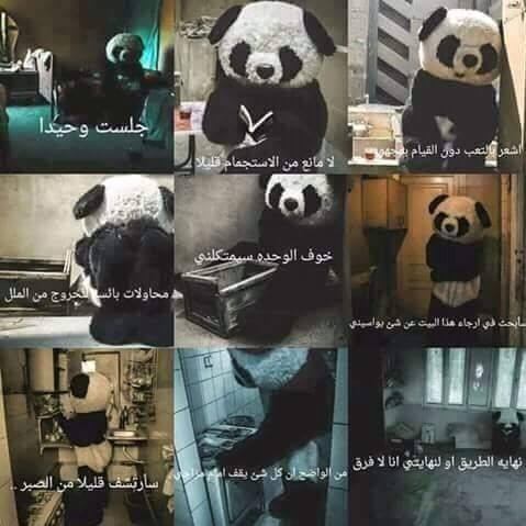 12938200_474124342782662_4814067420114126506_n