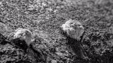 20160531-25939-1enjayt